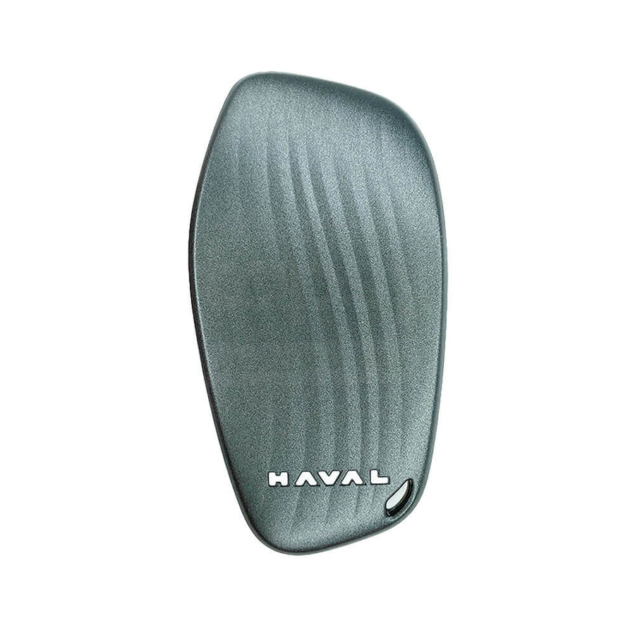 HAVAL M1